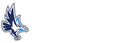 Keiser University